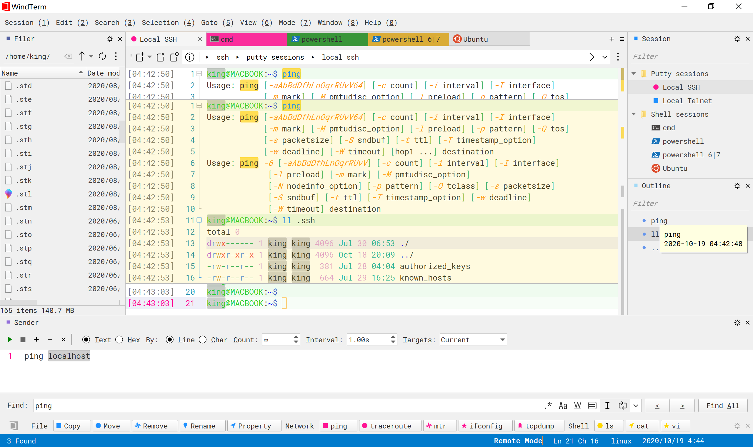 WindTerm_DigeWhite_Theme